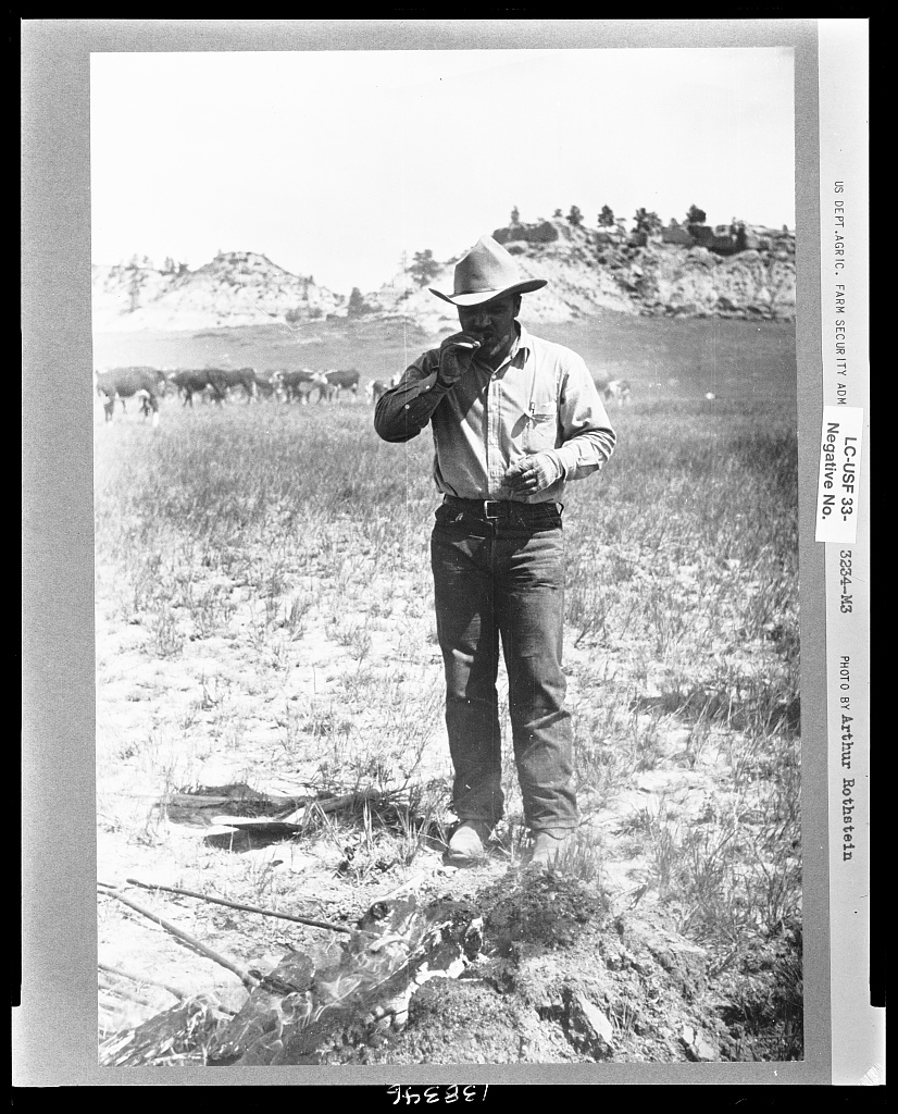 Burton Brewster enjoying a calf fry while branding at the Quarter Circle U Ranch in Montana.